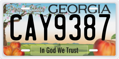 GA license plate CAY9387