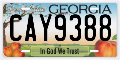 GA license plate CAY9388