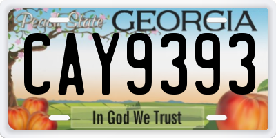 GA license plate CAY9393