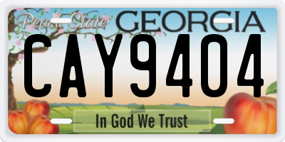 GA license plate CAY9404