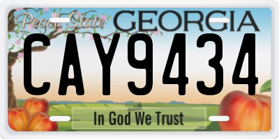 GA license plate CAY9434