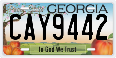 GA license plate CAY9442
