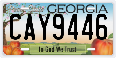 GA license plate CAY9446