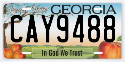 GA license plate CAY9488
