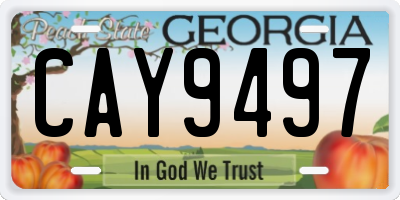 GA license plate CAY9497