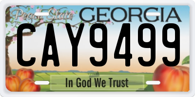 GA license plate CAY9499