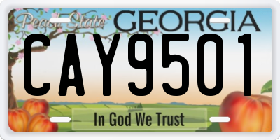 GA license plate CAY9501