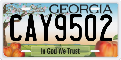 GA license plate CAY9502