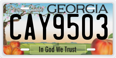 GA license plate CAY9503