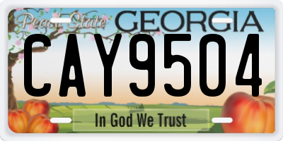 GA license plate CAY9504