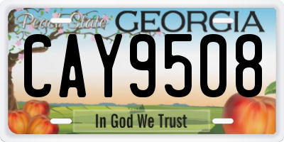 GA license plate CAY9508