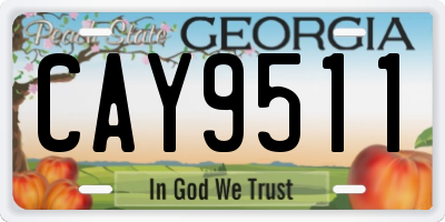 GA license plate CAY9511