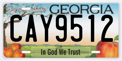 GA license plate CAY9512