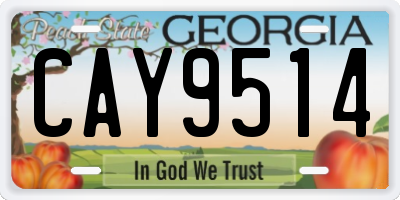 GA license plate CAY9514