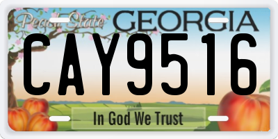 GA license plate CAY9516