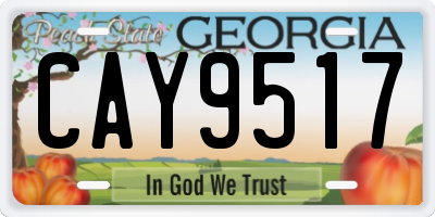GA license plate CAY9517