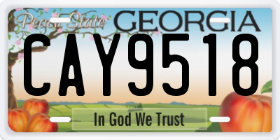 GA license plate CAY9518