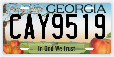 GA license plate CAY9519