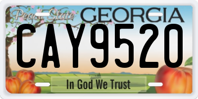 GA license plate CAY9520