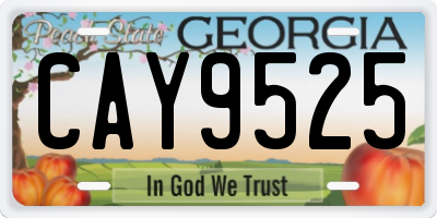 GA license plate CAY9525