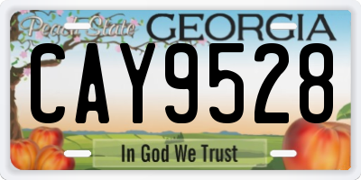 GA license plate CAY9528