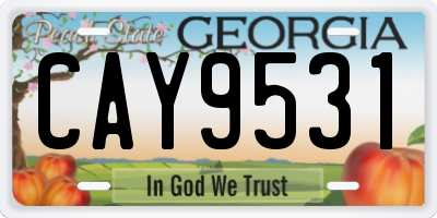 GA license plate CAY9531