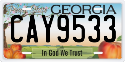 GA license plate CAY9533