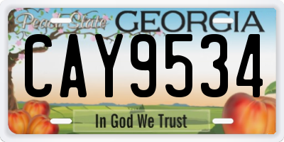 GA license plate CAY9534