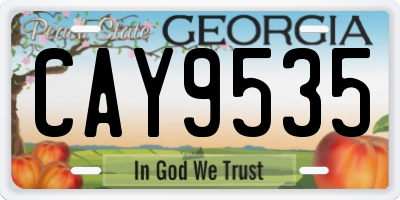 GA license plate CAY9535
