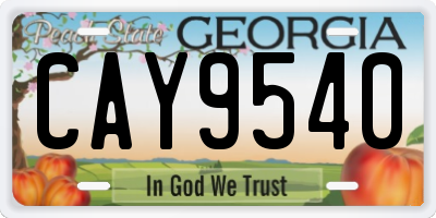 GA license plate CAY9540