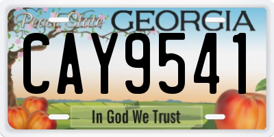 GA license plate CAY9541