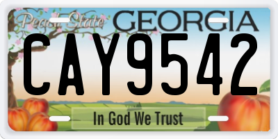 GA license plate CAY9542
