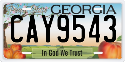 GA license plate CAY9543