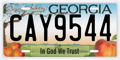 GA license plate CAY9544