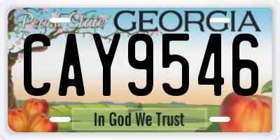 GA license plate CAY9546