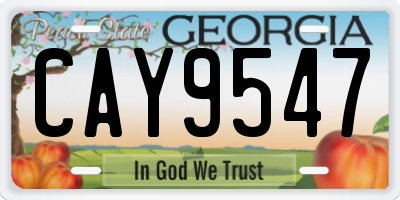 GA license plate CAY9547