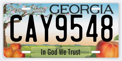 GA license plate CAY9548