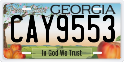 GA license plate CAY9553