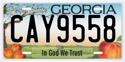 GA license plate CAY9558