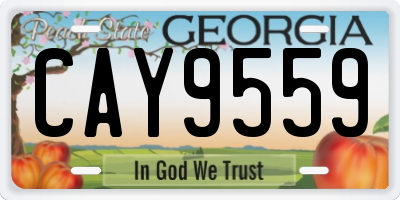 GA license plate CAY9559