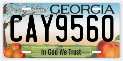 GA license plate CAY9560