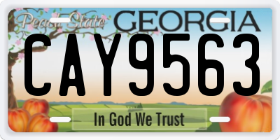 GA license plate CAY9563