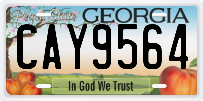 GA license plate CAY9564