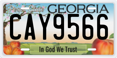 GA license plate CAY9566