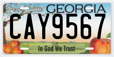 GA license plate CAY9567
