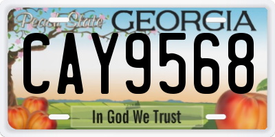 GA license plate CAY9568