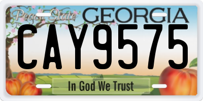 GA license plate CAY9575