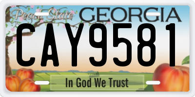 GA license plate CAY9581