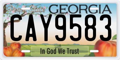 GA license plate CAY9583