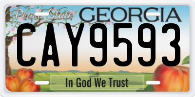 GA license plate CAY9593